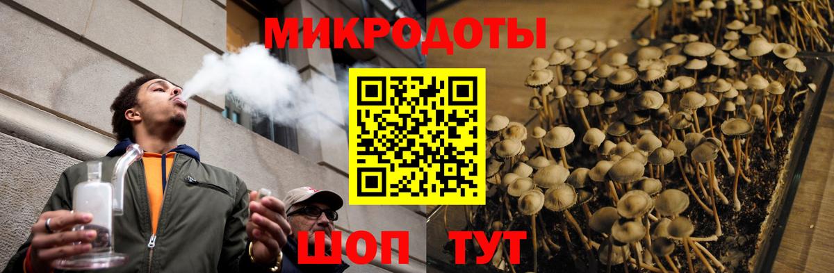 Галлюциногенные грибы прущие грибы Сертолово