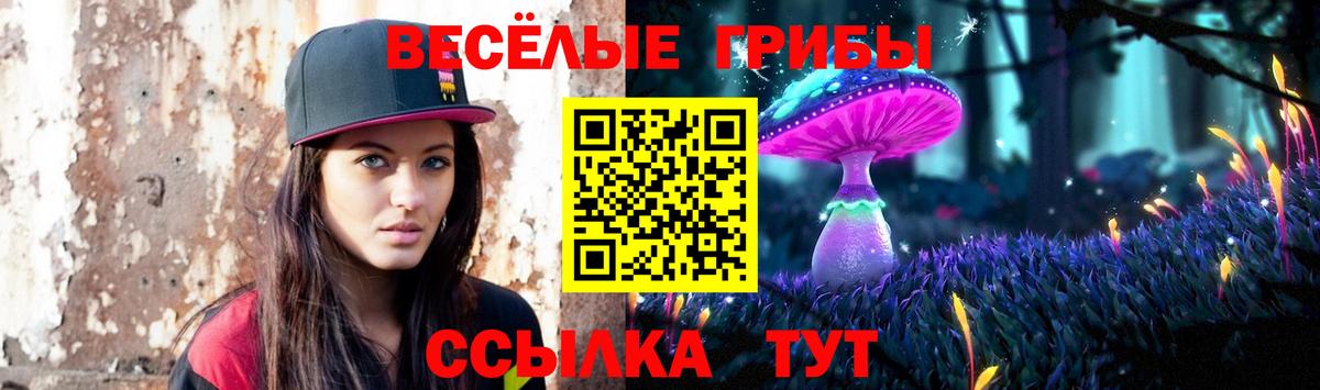 Галлюциногенные грибы Cubensis  Вход с VPN  Сертолово 
