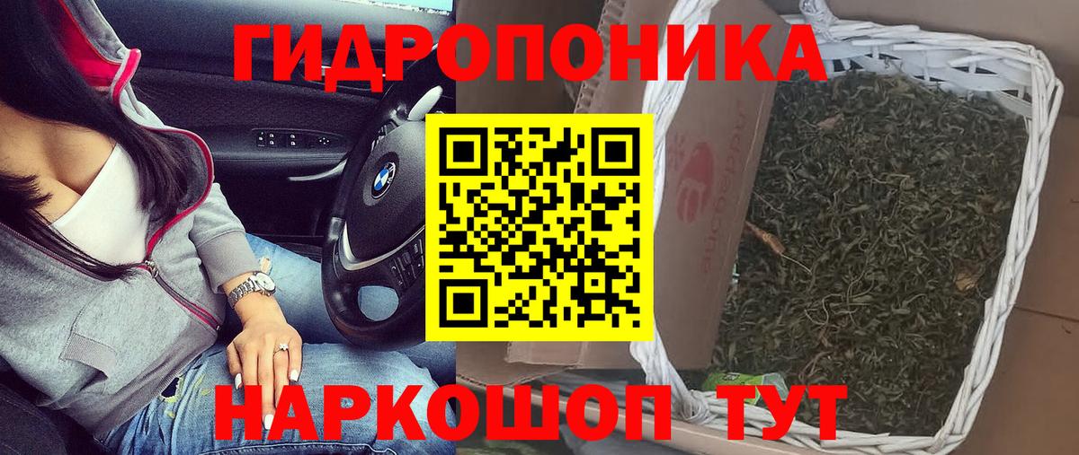 Бошки марихуана семена Сертолово